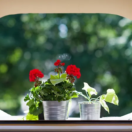 Vanilla - 3 Spacious 5min To Main Square 公寓式酒店 克拉科夫